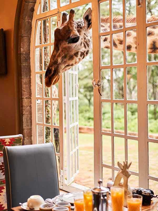 Giraffe Manor Nairobi | Luxury Boutique Hotel in Kenya