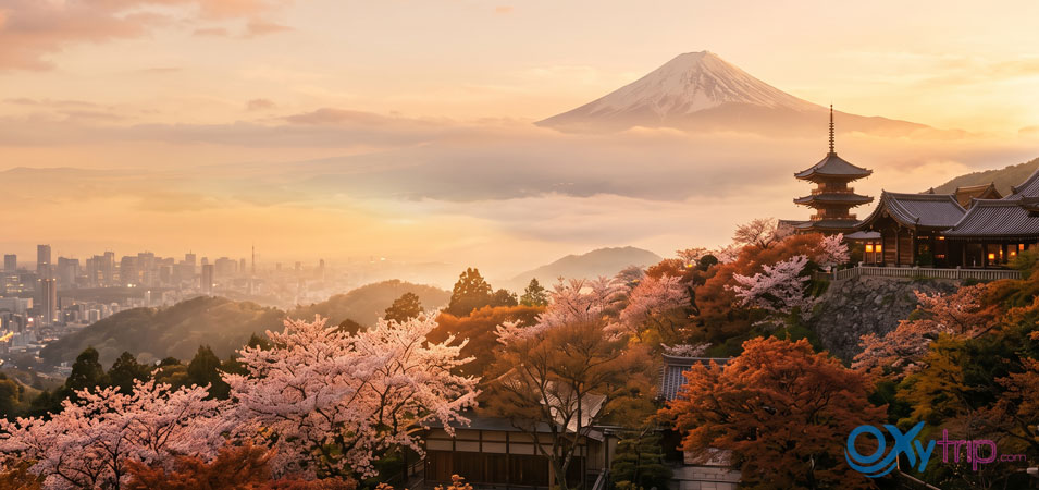 Japan Tour Package: Discover Tokyo, Kyoto & Mount Fuji